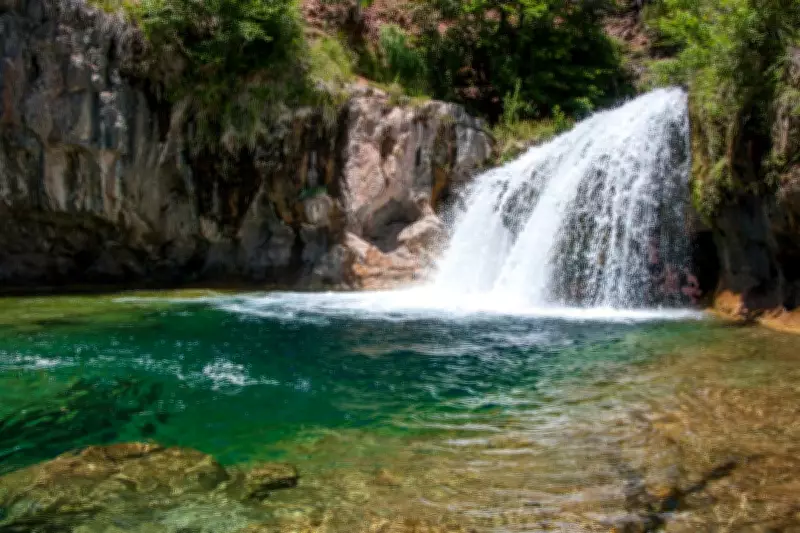 Taiwanese Man Dies After Jumping from Arizona Waterfall, Pulled Under