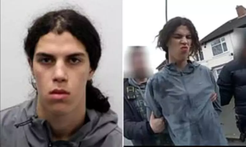 Teenage Machete Thief Who Targeted Aled Jones and Bridgerton Star Admits New Robbery