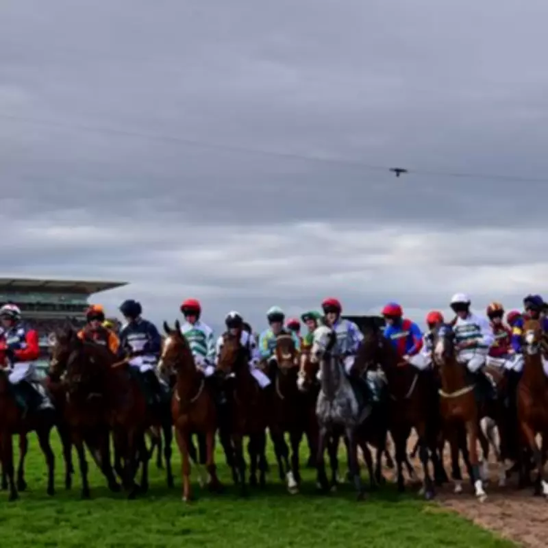Ten Horses Withdrawn from Grand National 2026 as Field Narrows to 34 Runners