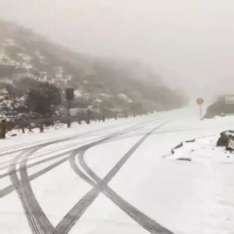 Tenerife Blanketed by Snow as Storm Therese Triggers Travel Chaos and Flight Cancellations