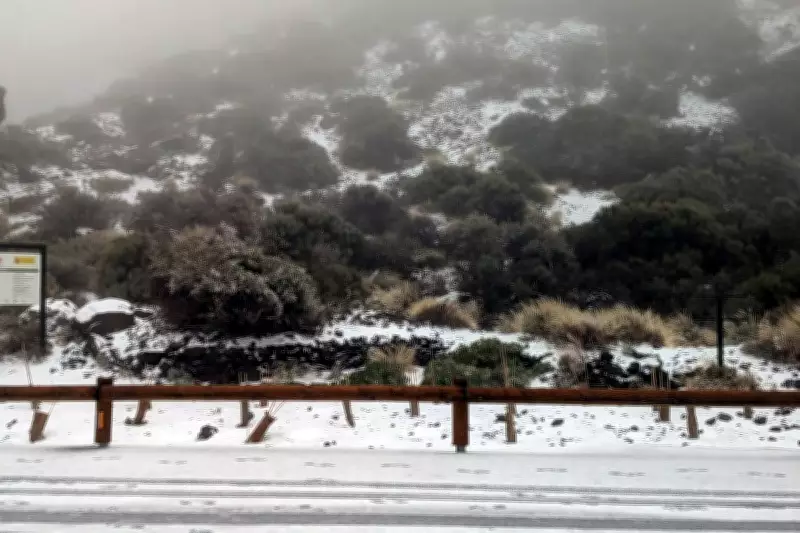 Tenerife Declares Emergency as Storm Therese Unleashes Snow and 75mph Winds