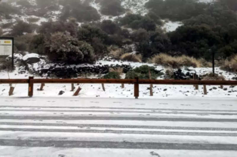 Tenerife Declares State of Emergency as Storm Therese Brings Snow and Chaos