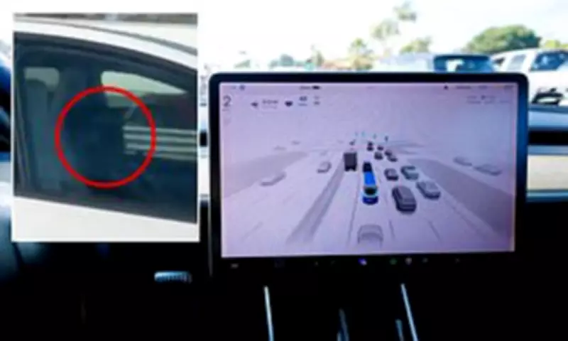 Tesla Driver Caught Sleeping on California Freeway as Car Drives Itself