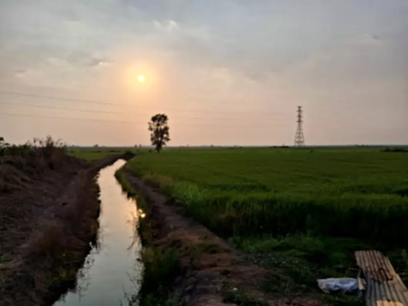 Thai Farmers Face Crisis as Petrol Prices Soar, Threatening Livelihoods