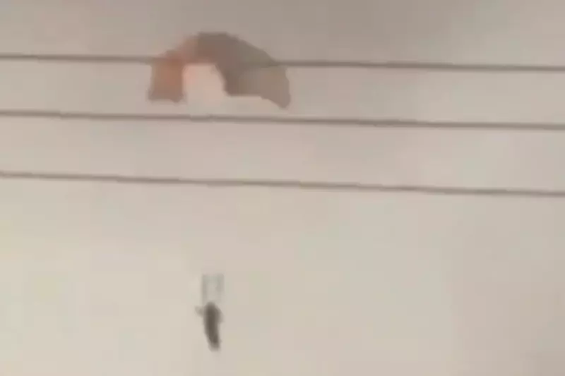 The Brutal Physics of Survival: What Ejecting from a Fighter Jet Does to the Human Body