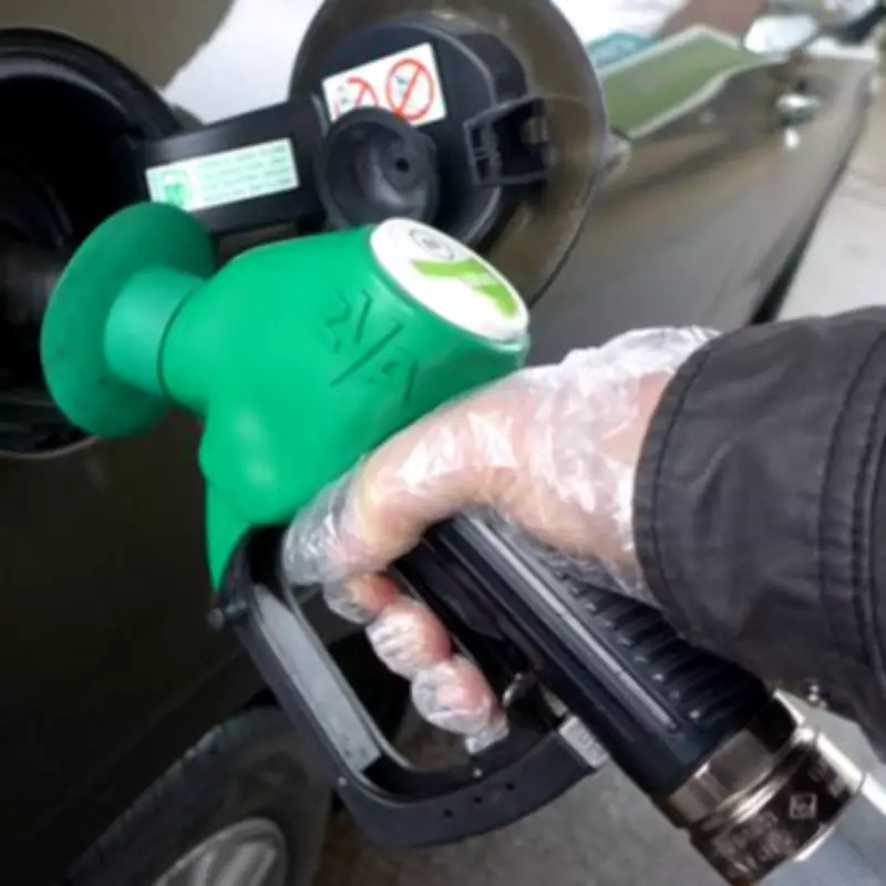 The Most Cost-Effective Used Car Revealed: A Smart Buyer's Guide