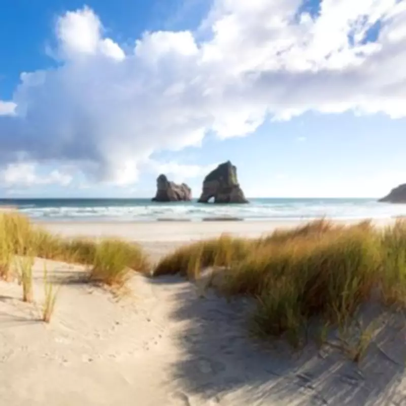 The Windows Lock Screen Beach: The Remote New Zealand Shore You See Daily