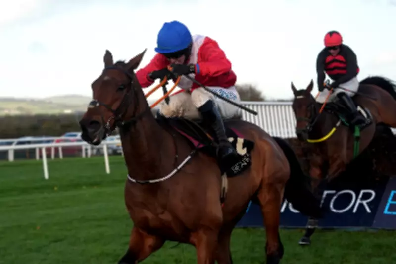 Third Horse Dies at Cheltenham Festival as Envoi Allen Collapses After Gold Cup