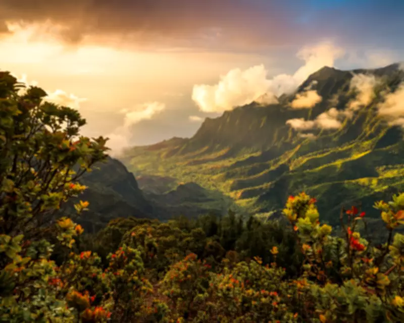 Three Dead in Hawaii Tourist Helicopter Crash on Kauai's Remote Na Pali Coast