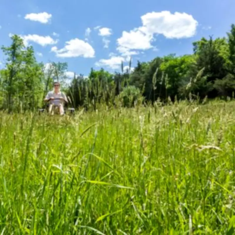 Three Essential April Gardening Tasks for a Lush, Healthy Lawn