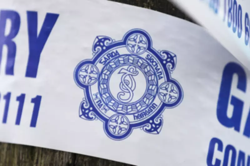 Three-Year-Old Boy Dies After Car Park Collision at Dublin Shopping Centre