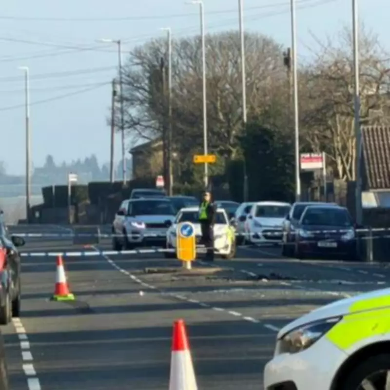 Three Young Men Killed in Halifax Multi-Vehicle Crash, Fourth Critically Injured