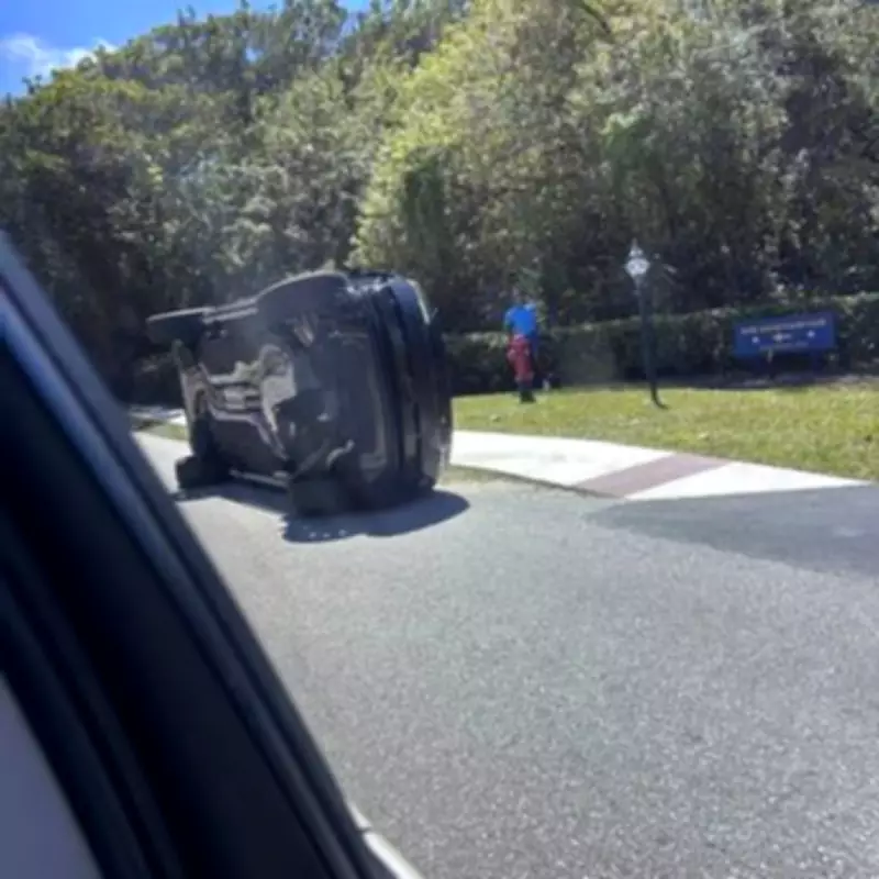 Tiger Woods DUI Arrest: Police Report Details Pills, Phone Use Before Crash