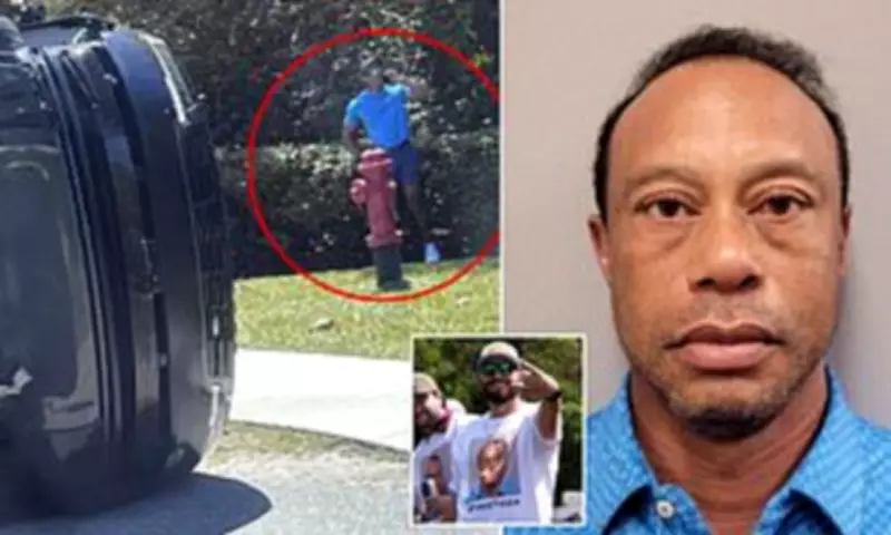 Tiger Woods' DUI Arrest Polo Shirt Sells Out as Fans Rush to Buy