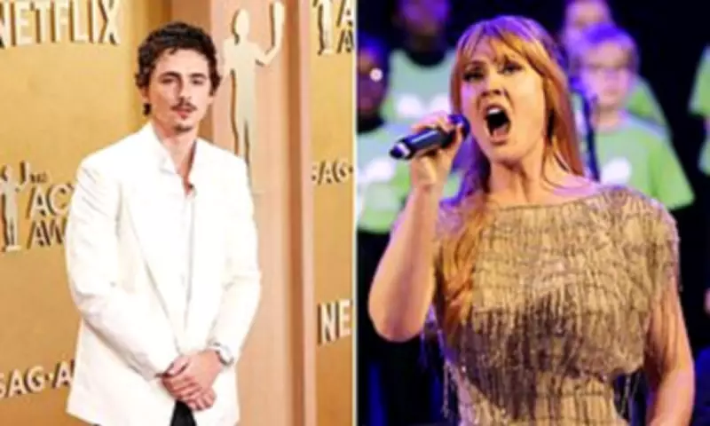 Timothée Chalamet Slammed as 'Irresponsible' Over Opera and Ballet Comments