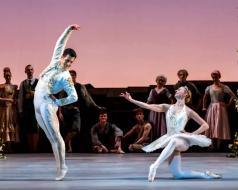 Timothée Chalamet's Ballet and Opera Comments Spark Vital Debate on Arts Survival