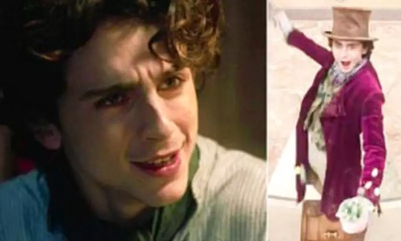 Timothée Chalamet's Extravagant Wonka Set Breakfasts Revealed by Co-Star