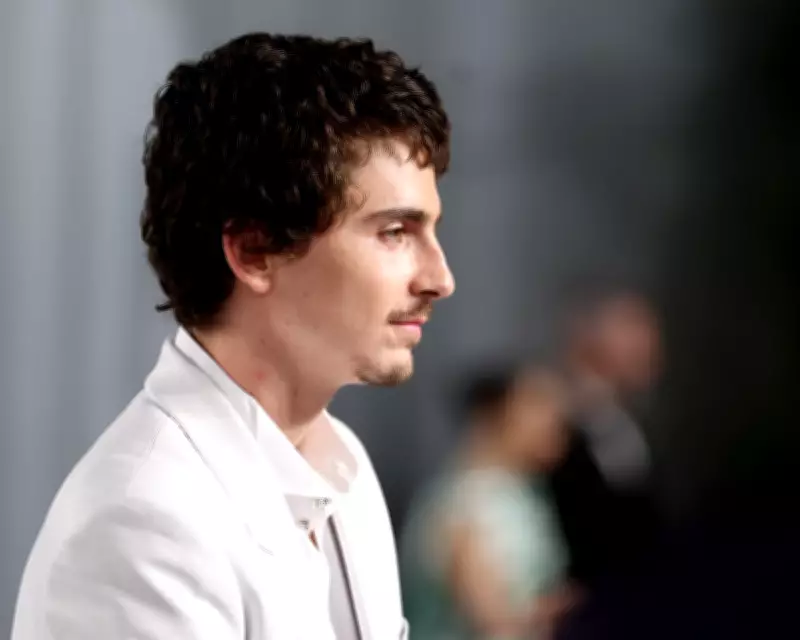 Timothée Chalamet's Opera Comments Spark Debate on Art's Enduring Value