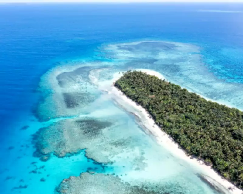 Tonga's PM Welcomes US Deep-Sea Mining Deal Amid Environmental Fears