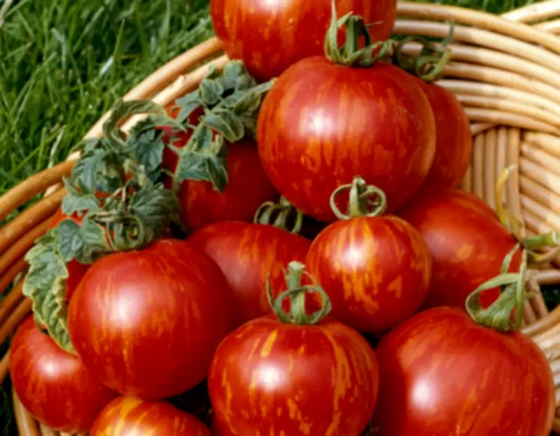 Top 10 Fruit and Vegetables to Plant Now for an Easy, Bountiful Harvest