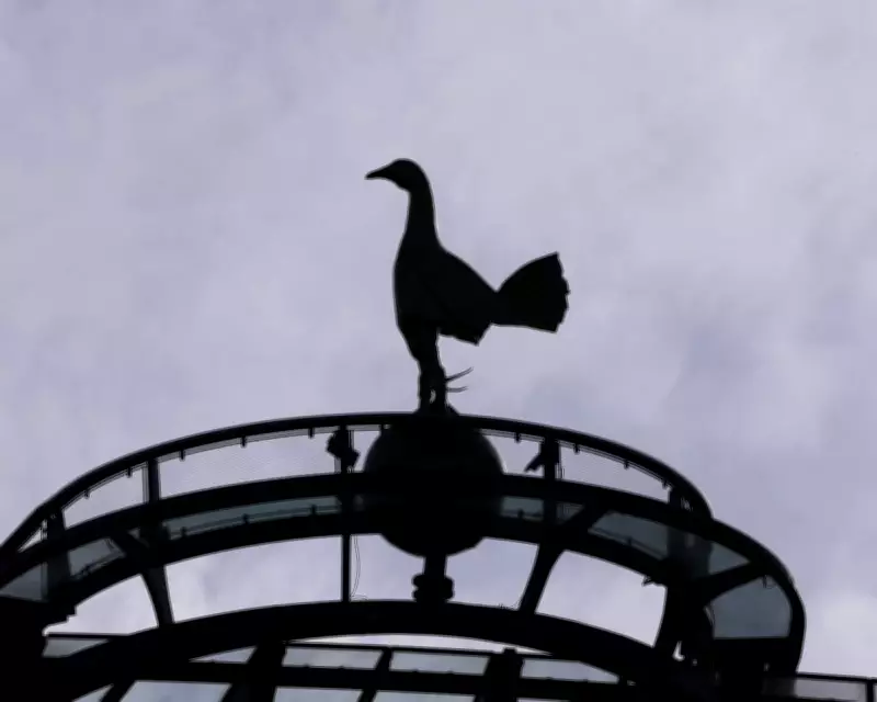 Tottenham Edge Crystal Palace in Tense Premier League Clash at Home