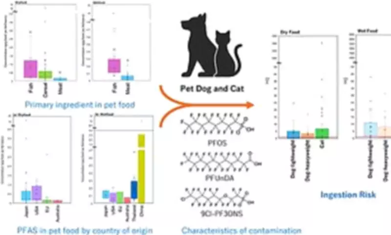 Toxic 'Forever Chemicals' Found in Popular Pet Foods Pose Cancer Risk to Animals