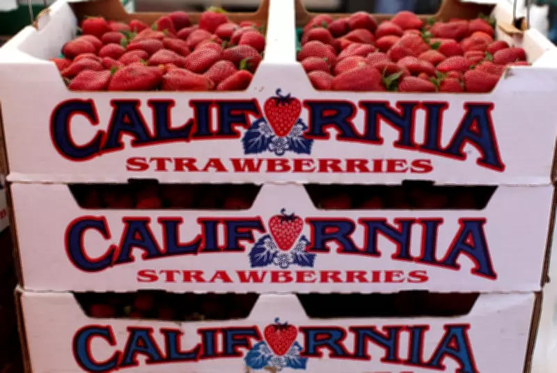 Toxic PFAS Found on 37% of California Produce, New Analysis Reveals