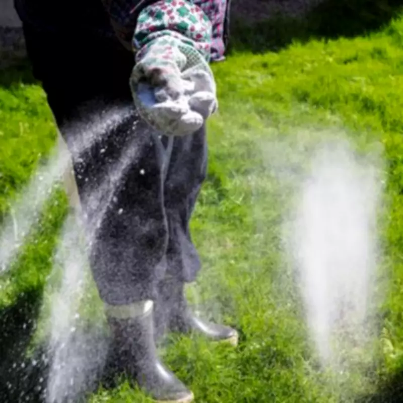 Transform Your Lawn Naturally: Epsom Salt's Secret to Lush Green Grass