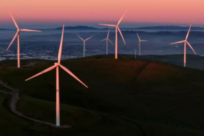 Trump Administration Considers $1 Billion Payout to Halt Offshore Wind Farms