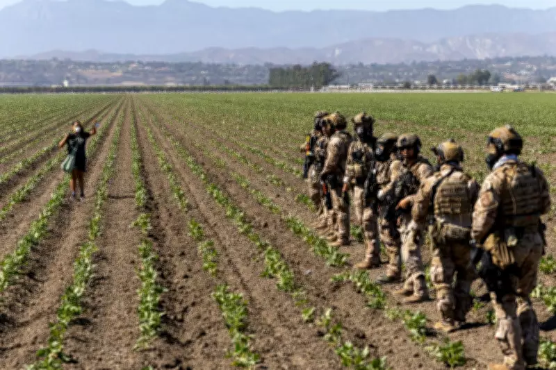 Trump Administration Reverses Course on Farm Migrant Workers After Deportation Raids