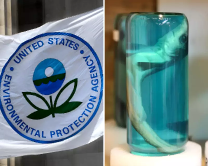 Trump EPA Weakened Formaldehyde Rules Using Industry-Funded Science