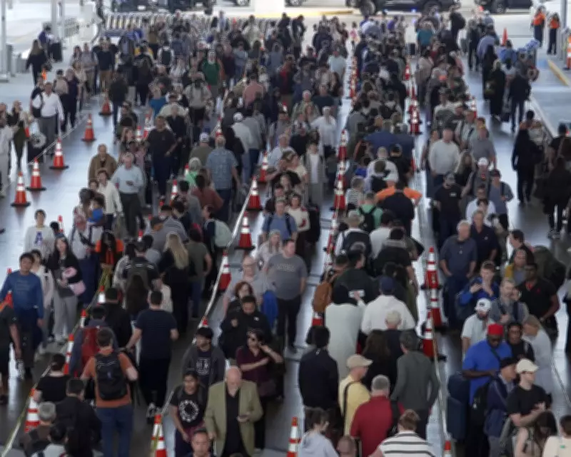 Trump Moves to Pay SA Workers Amid Airport Chaos and Congressional Stalemate