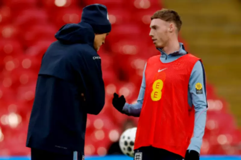 Tuchel Warns Chelsea's Palmer to Prove Worth for England World Cup Spot