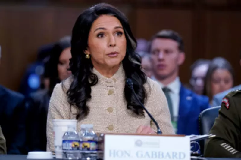 Tulsi Gabbard Sparks Senate Fury by Declining to Assess Iran Nuclear Threat