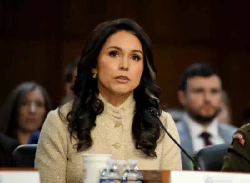 Tulsi Gabbard Testifies US Strikes on Iran a Strategic Success in Senate Hearing