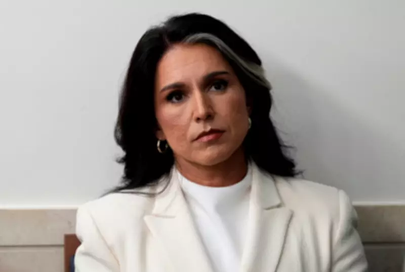 Tulsi Gabbard's Past Anti-War Stance Haunts Her as DNI Defends Iran Conflict