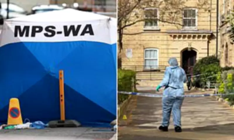 Two Arrested for Murder After Fatal Stabbing in Westminster