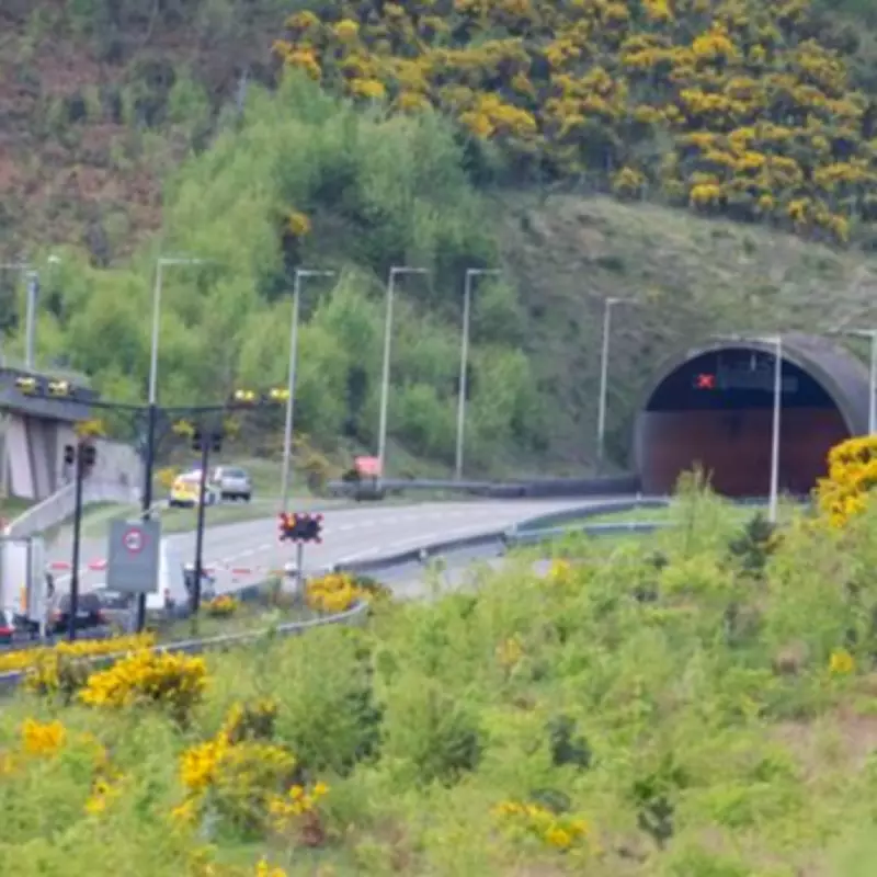 Two Fatalities in A3 Hindhead Collision: Police Seek Witnesses