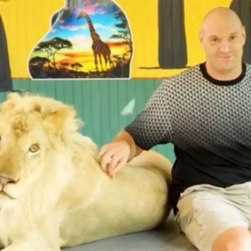 Tyson Fury Faces Animal Cruelty Backlash Over Chained Lion Photo in Thailand