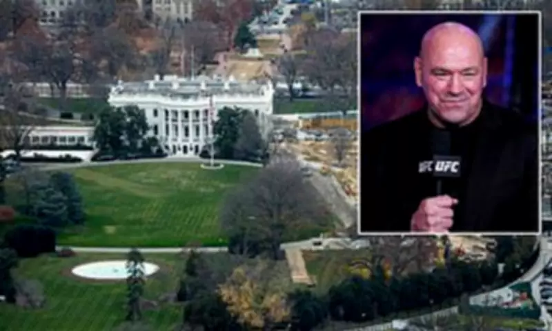 UFC Plans 85,000 Free Tickets for White House Fight Amid Security Fears