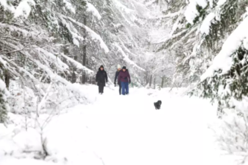 UK Braces for Snow Showers and Gale Force Winds as Met Office Issues Warnings