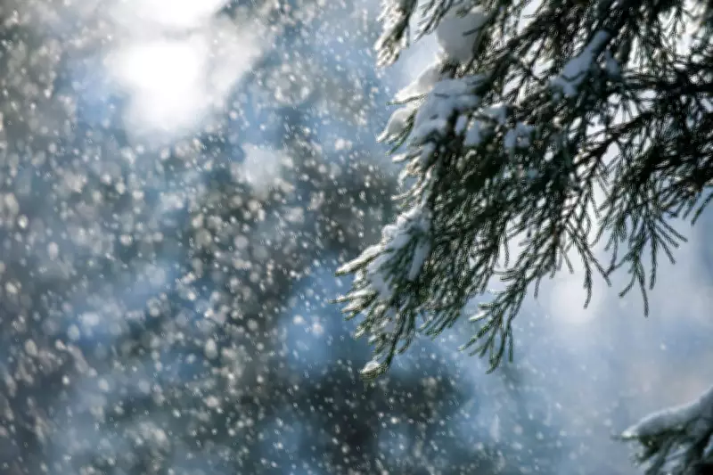 UK Braces for Snow Showers and Severe Gales in Brief March Cold Snap