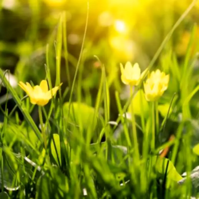 UK Clocks Spring Forward This Weekend: Exact Time Change Details