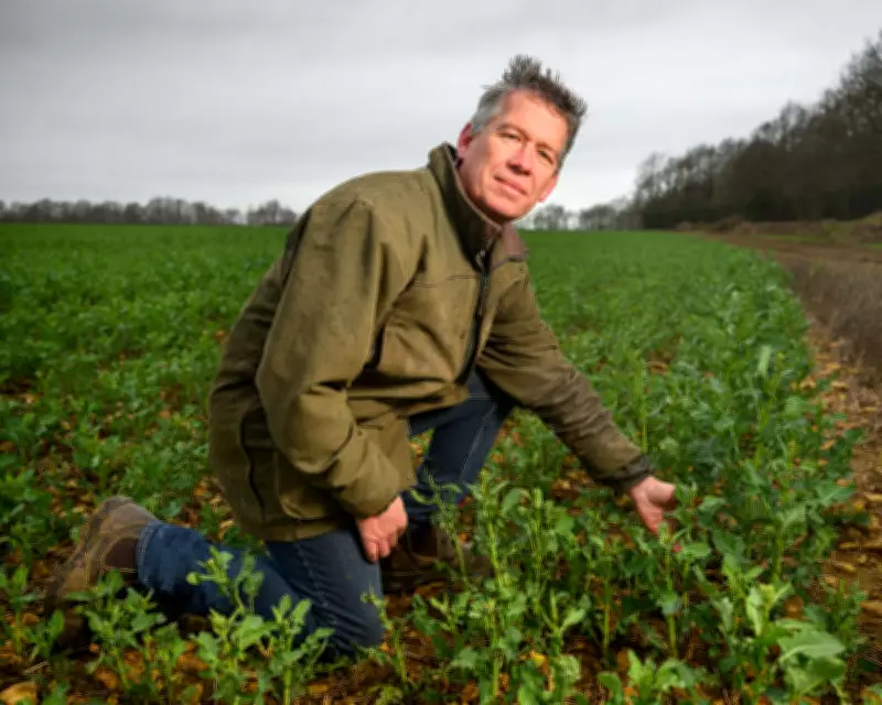 UK Farmers Face Crisis as Iran War Drives Up Fertiliser and Fuel Costs