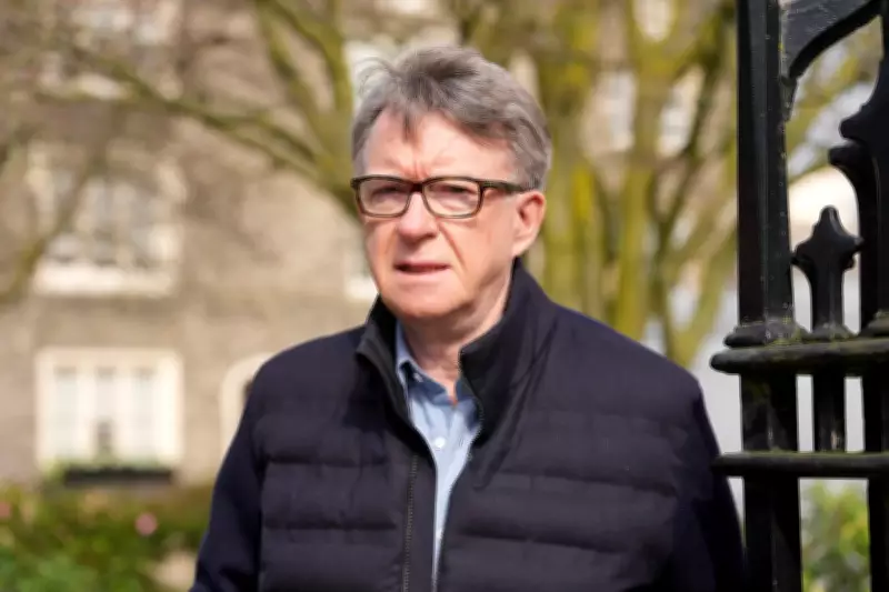 UK Government to Release Files on Mandelson's Ambassador Appointment Amid Epstein Scandal