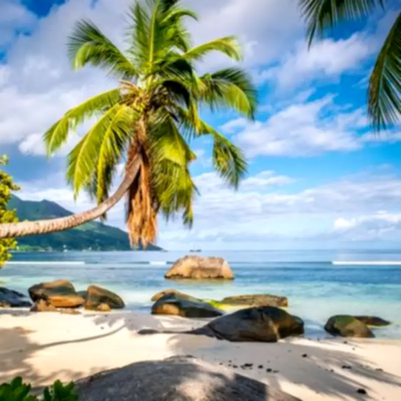 UK Holidaymakers Alerted to High Virus Risk in Seychelles Paradise