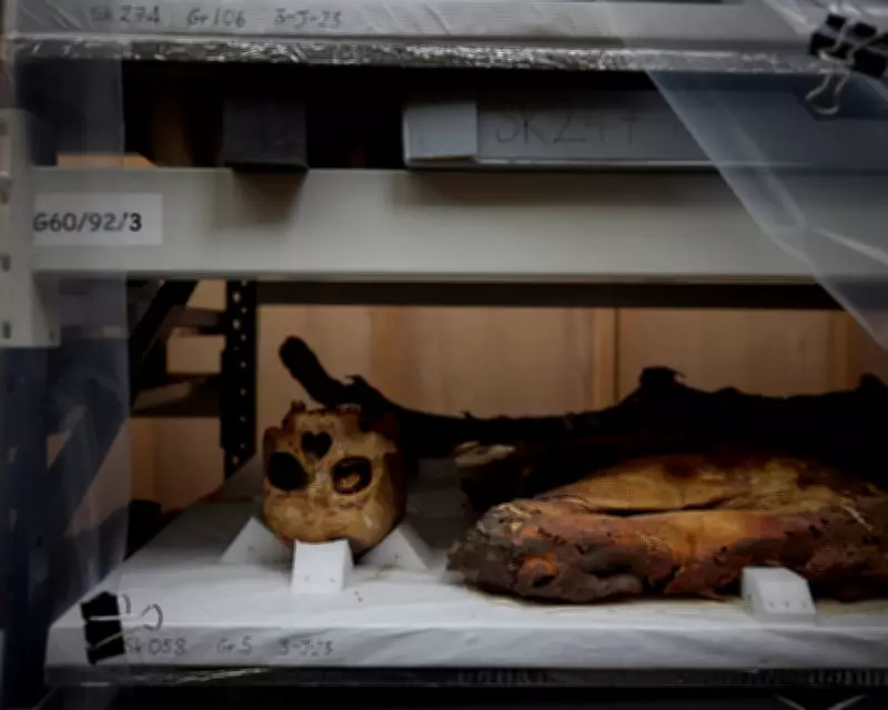 UK Museums Hold Over 263,000 Human Remains, Investigation Reveals