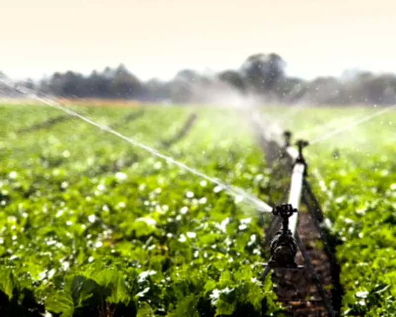 UK Scientists Urge Sustained Investment in Nutrition Research to Combat Global Malnutrition