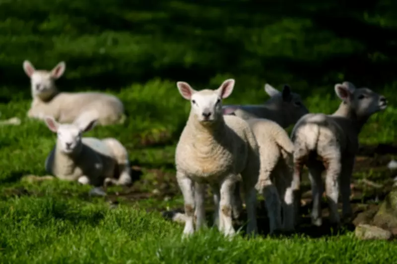 UK Sees Warmest Day of 2026 as Temperatures Peak at 20.9C in Wales