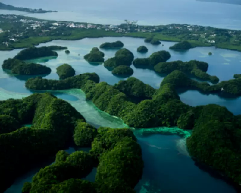 UK Slashes Climate Aid for Developing Nations, Undermining Nature Protection